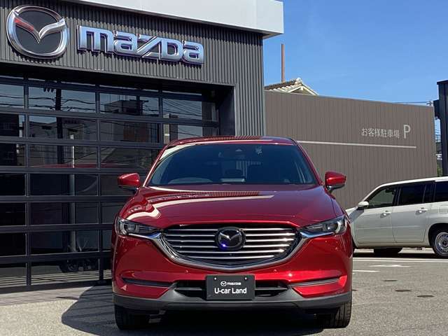 キレイなソウルレッドクリスタルメタリック色