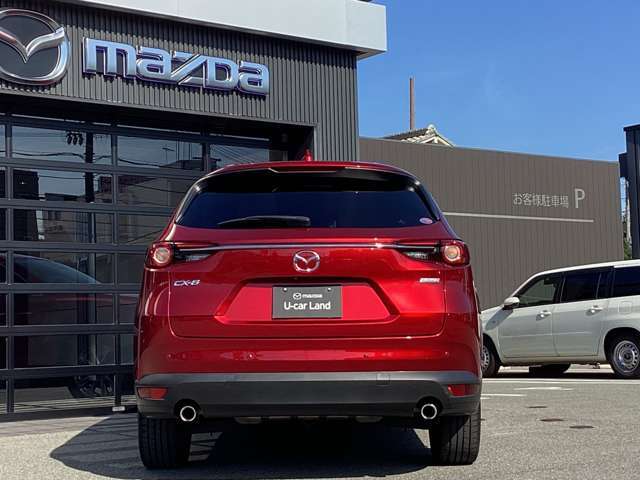 横に細長いテールレンズが、シャープなエクステリアデザインを高めてくれます。