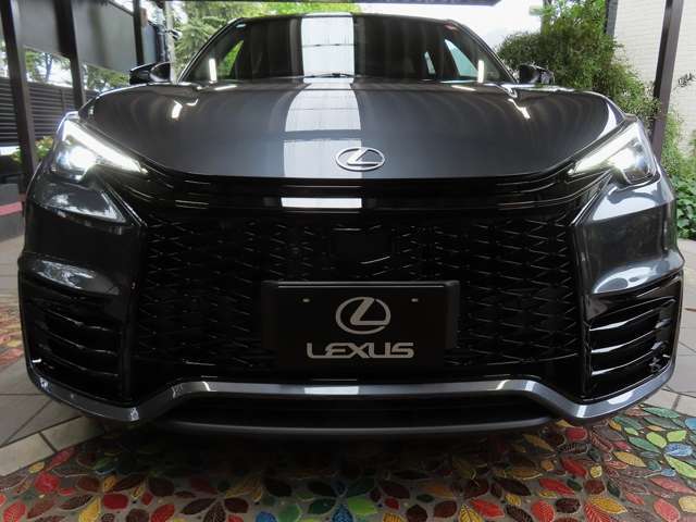 ■フルLEDヘッドランプ（オートレベリング機能付き）■フルLEDデイタイムランニング機能 ■LEDクリアランスランプ