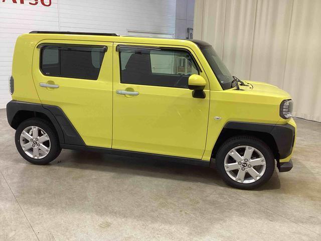 右横からの画像です