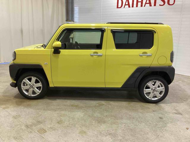 左横からの画像です