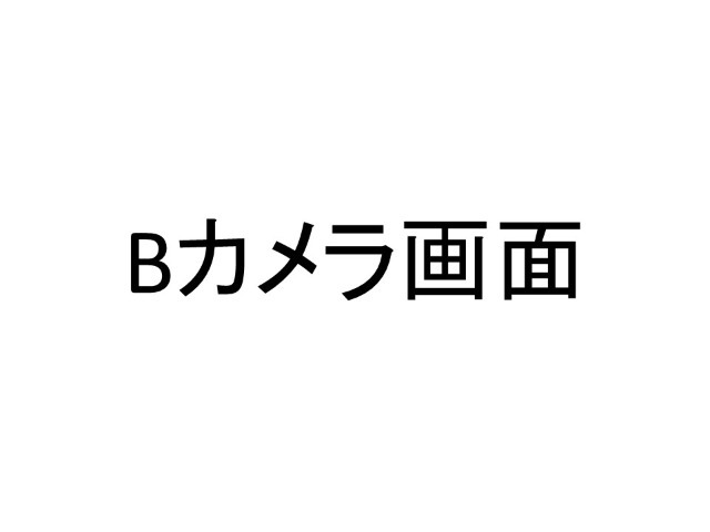 ◆◆バックカメラの画像です。車庫入れの安心感がアップしますね☆