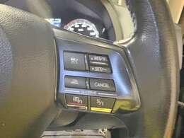 先進運転支援システムのアイサイトVer2搭載！！もしもの時も安心感がありますね！！クルーズコントロールも連動していてとっても便利ですね！！