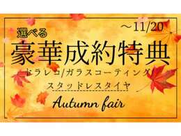 11月9日から11月20日までの期間限定キャンペーン実施中♪お問い合わせはお早めにどうぞ！！