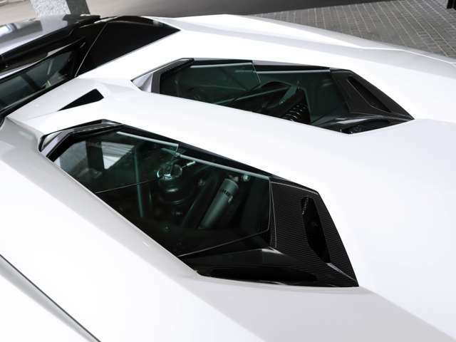 ◆Transparent Engine Bonnet