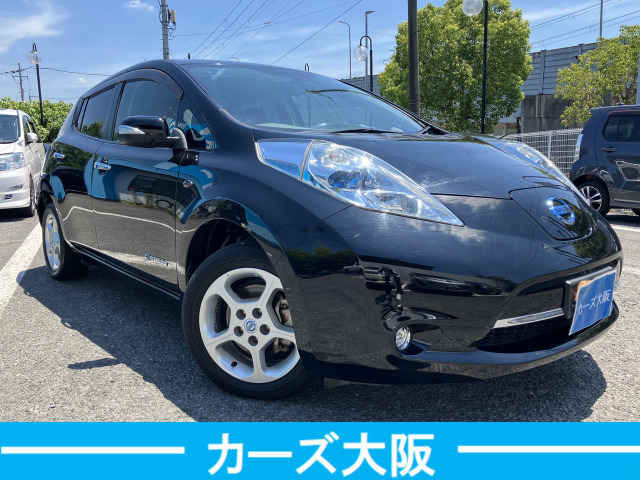 気になる方には、各キズ1箇所につき30000円で綺麗に板金塗装をしてからのお渡しも可能です。ルーフ・サイドステップは1箇所50000円になります。