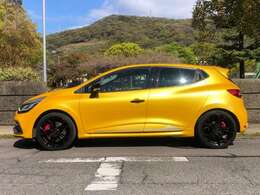 華やかなカラーで人気のジョン・シリウス（イエローメタリック）の外装は艶もあり、目立つキズや凹み無くとてもきれいな状態を維持しています。