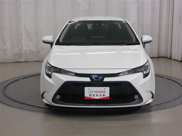 フォグランプ付きで悪天候や霧の際、ヘッドライトの明かりを補助し、視界確保に役立ちます！