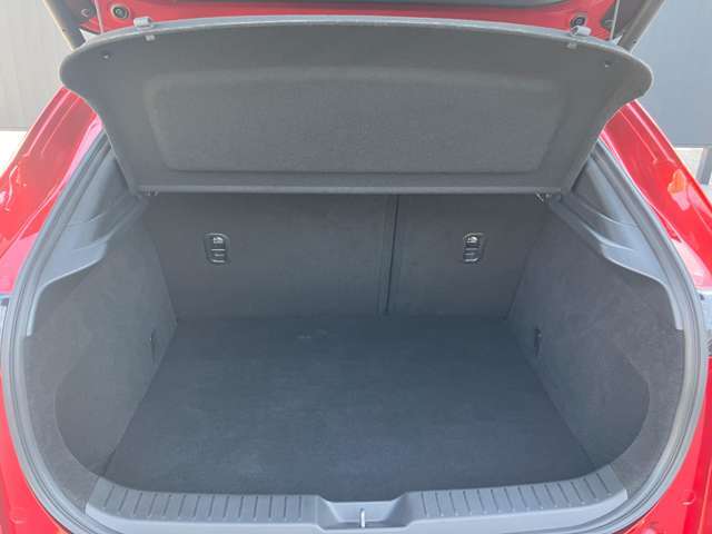 トノカバー付きのトランクルームは荷室の荷物が見えず安心です。