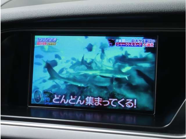 DVDビデオや、高感度＆高精細なフルセグ地デジTV、SD/SDHCメモリーカードのビデオ再生は走行中でも視聴可能。※運転者が走行中に画面を見続ける行為(注視)やナビ操作を行う事は道路交通法違反になります。