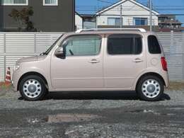 SDナビ/地デジ再生できます。