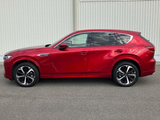 WECARSの在庫ページをご覧いただき誠にありがとうございます！WECARSは「お客様第一」をモットーにお客様のカーライフを全力でサポートいたします！