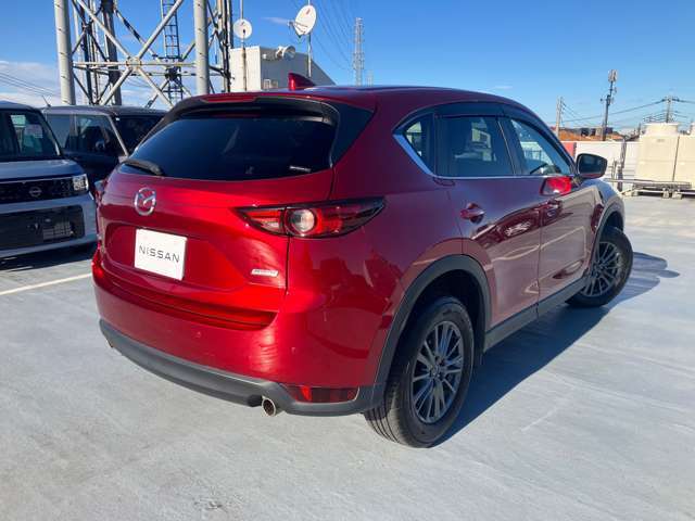 一目見ただけで、この魅惑的なボディーが存在感を放っていることが分かって頂けると思います。