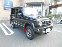 きれいなブルーイッシュブラックパールの車両です。