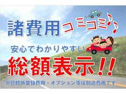 当店ではお支払総額で乗り出し出来ます。オプションのご提案はさせて頂きますが強制ではないのでご安心下さい！正式なお見積もりの乗り出し価格で比較して下さい