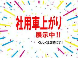 当社の社用車として使用してました、新車保証も継承でき安心してお乗り頂けます。