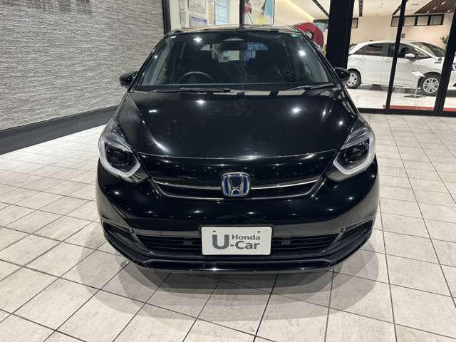 ひと目見て親しみをおぼえ、時を過ごすほどに愛着が深まっていく。