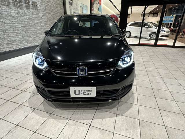 ひと目見て親しみをおぼえ、時を過ごすほどに愛着が深まっていく。