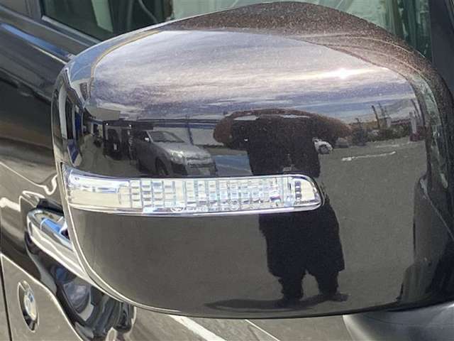 最近よく目にするドアミラーウインカー。単なる流行ではありませんよ！前や横からの視認性がよくなり、安全に寄与する装備です☆
