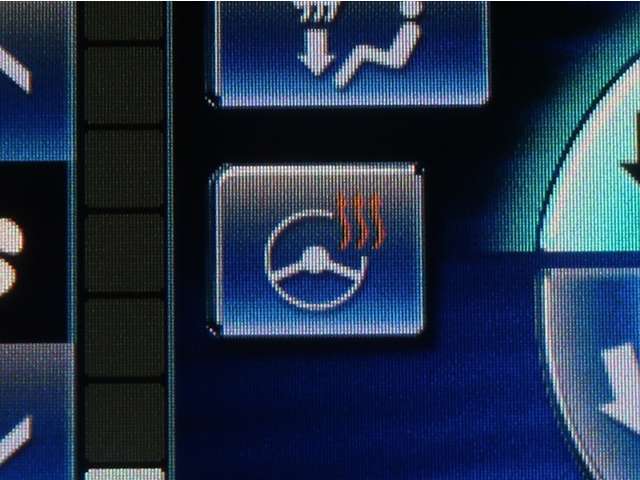 ステアリングヒーター付き。寒い日のドライブも、掌から温めてくれます。