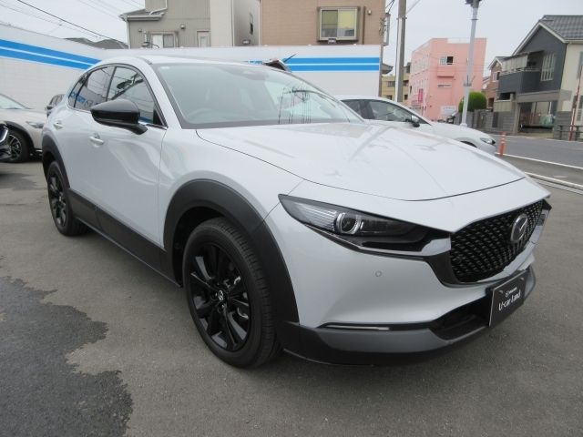 スポーティーかつシックで大人びた雰囲気が漂う特別仕様車。レトロスポーツエデション(*^^)v