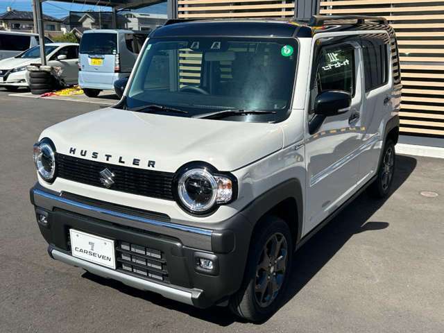 斜めからのフロントビュー。