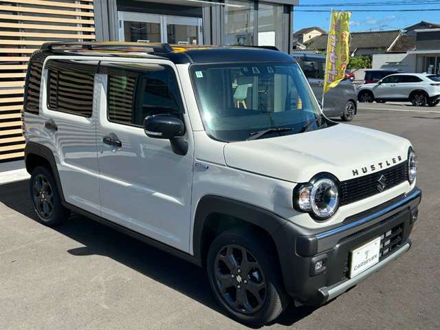 斜めからのフロントビュー。