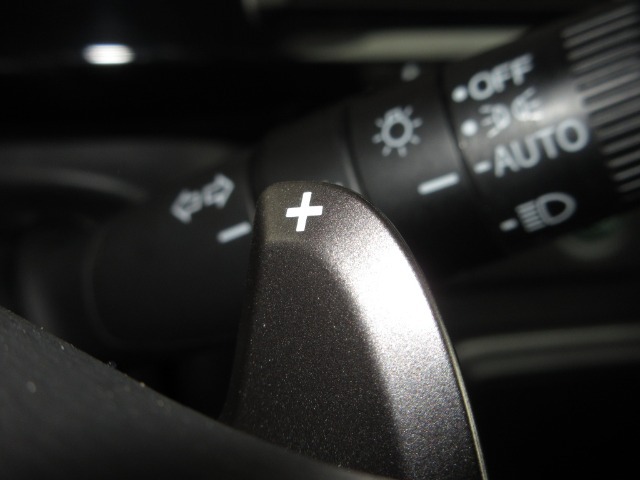 マニュアル車のような感覚で、ワインディングロードでも車を操れるパドルシフト付きです。長い下り坂でのエンジンブレーキや、高速道路の合流の際の加速も思いのままです。