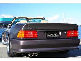 https://www.iwasaki-inc.co.jp/