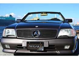 https://www.iwasaki-inc.co.jp