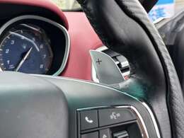 オプションのパドルシフトが装備されております！