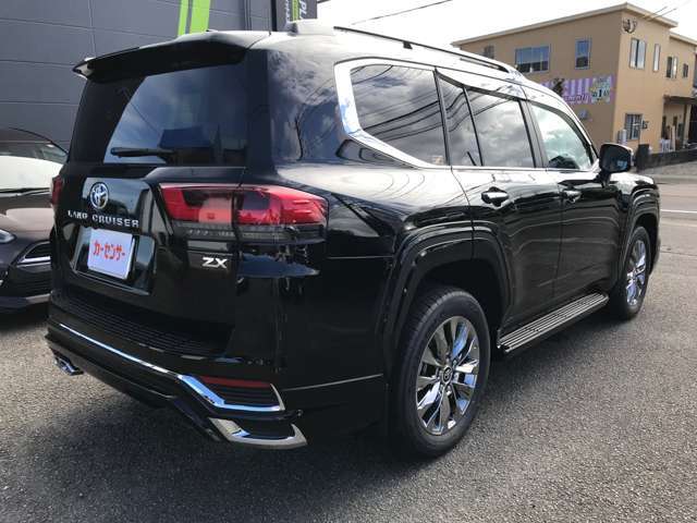 W300シリーズ本体をご検討の方へ 照明スイッチ型カメラ 小型カメラ スパイダーズX ハイクオリティ