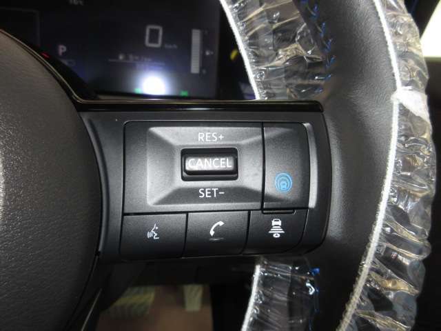 プロパイロット付きです。