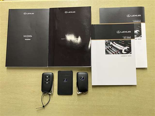 半年毎の点検とエンジンオイルをパックにした「ウェインズメンテナンスパスポート」（有料）をご用意しております。詳しくは、スタッフにお尋ねください。