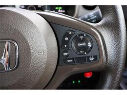 クルーズコントロール付きで高速でもらくらく！