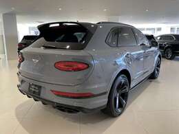 上品かつ迫力のある彫刻のように美しいテール