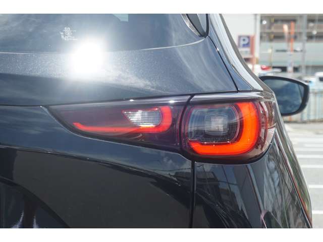 LEDテールランプ！ボディデザインにマッチした形状でスタイリッシュに仕上がっております。