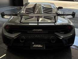 Snorkle + Wing in Visible Carbon Fiber ShinyLouvers Frame + Front Bonnet Plate + Rear Finn Carbon Fiber ShinyTitanium Rear ArchLifting System