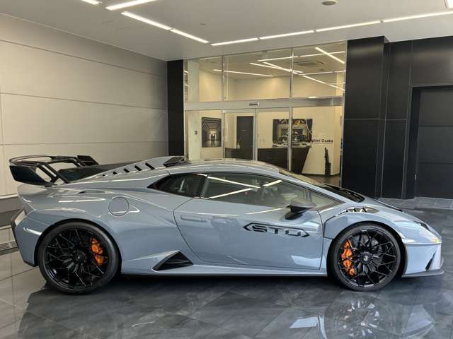 Snorkle + Wing in Visible Carbon Fiber ShinyLouvers Frame + Front Bonnet Plate + Rear Finn Carbon Fiber ShinyTitanium Rear ArchLifting System