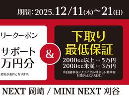 冬のプレミアムセレクション～MINIと一緒に素敵な夢を～