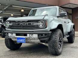 フォードのレーシングブランド「FORD PERFORMANCE」に相応しい一台です。