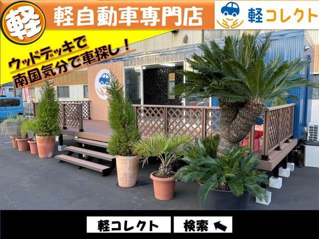 ウッドデッキと可愛い植物で南国気分で車探し！！