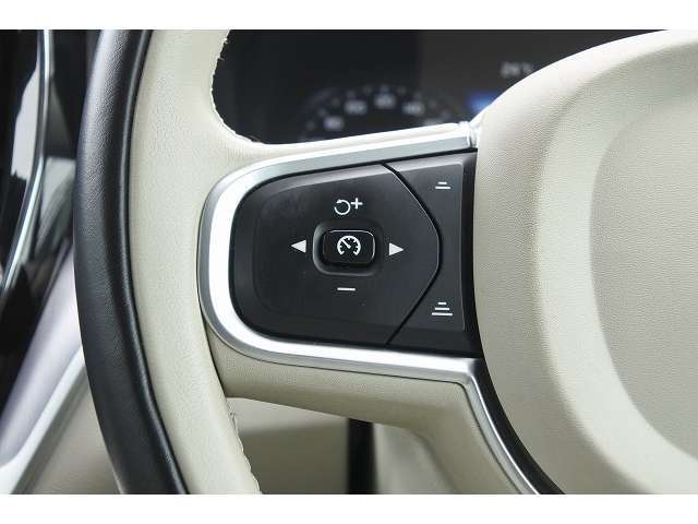 ハンドル左のボタンでは先行車を一定の速度で追従するACC（アクティブクルーズコントロール）やスピードリミット機能を操作します。
