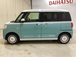 左横からの画像です