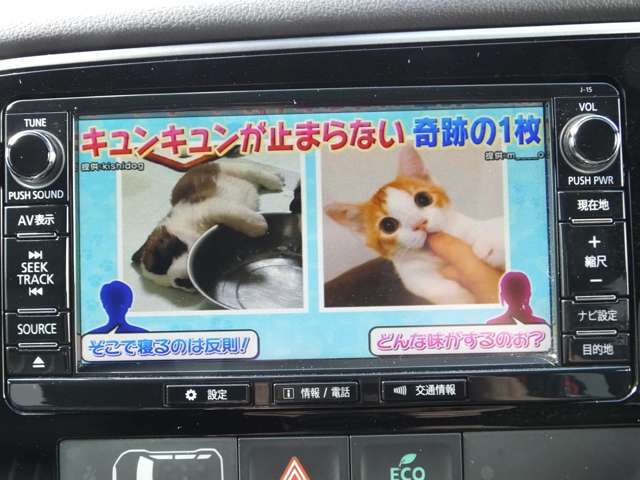 テレビ番組はフルセグでお楽しみいただけます。