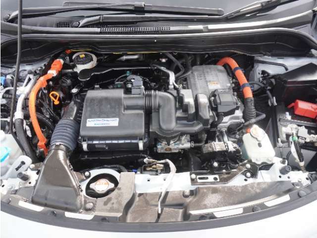 エンジンは車の心臓部分です。このエンジンルームが汚いとトラブルの基になります。当店は専用の液剤を使って徹底的に綺麗にします。