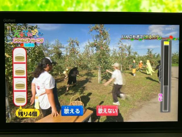 ナビ、ドラレコ、ETC、フリップダウンモニター、デジタルインナーミラーetc…後付け可能です！オプションも豊富に取り揃えておりますのでご安心ください！