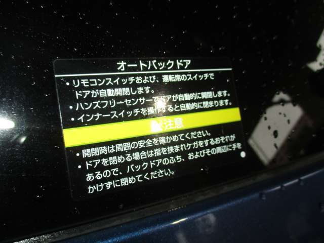 オートバックドア