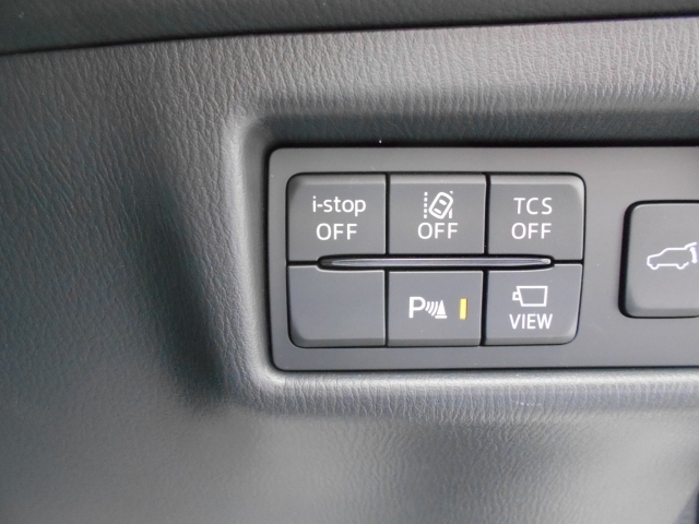 TCS（トラクションコントロールシステム）やBSM（隣車線上の側・後方からの車両接近を通知）、LDWS（車線逸脱警報システム）で安全運転をサポート！