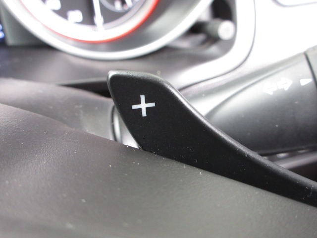 マニュアル車のような感覚で、ワインディングロードでも車を操れるパドルシフト付きです。長い下り坂でのエンジンブレーキや、高速道路の合流の際の加速も思いのままです。